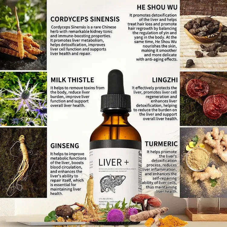 AnnieCare® Natürliches Kräuter-Lebersupplement - Starke Leberunterstützung - Entgiftung & Regeneration - Senkt Blutzucker und Blutfette