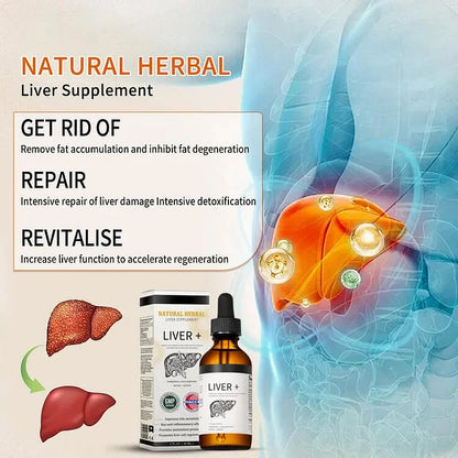AnnieCare® Natürliches Kräuter-Lebersupplement - Starke Leberunterstützung - Entgiftung & Regeneration - Senkt Blutzucker und Blutfette