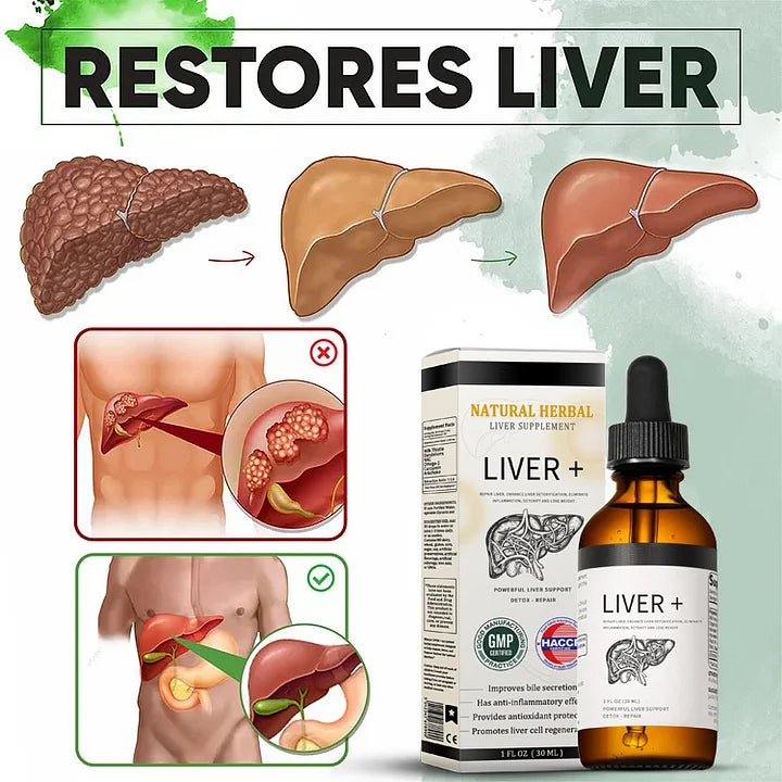 AnnieCare® Natürliches Kräuter-Lebersupplement - Starke Leberunterstützung - Entgiftung & Regeneration - Senkt Blutzucker und Blutfette