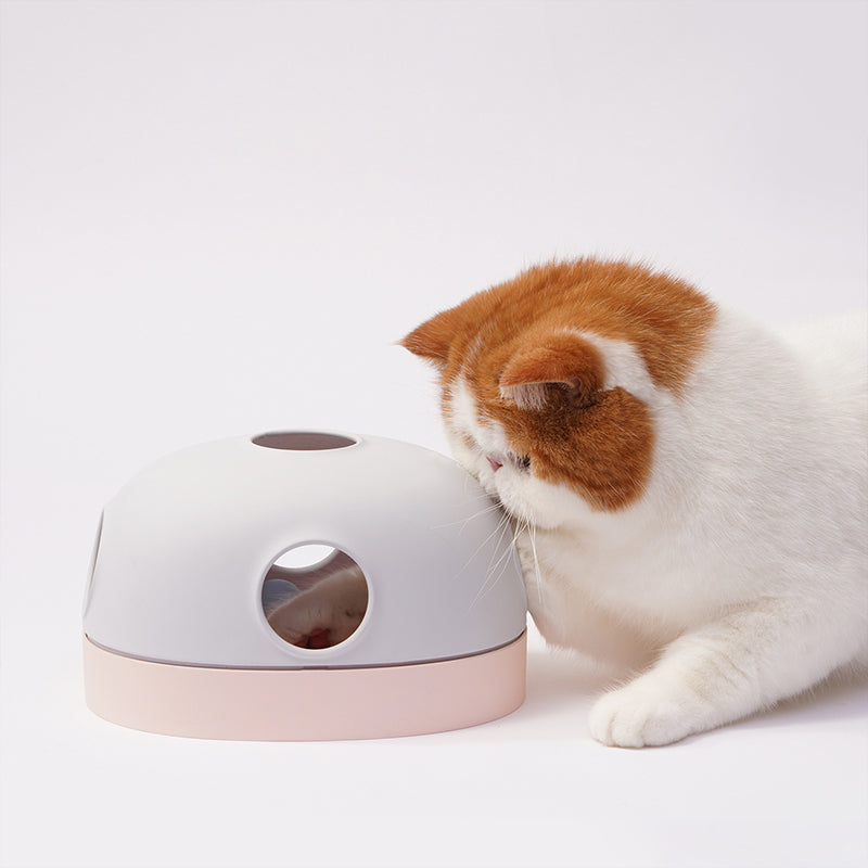 Puzzle 3 Combination Cat Toy