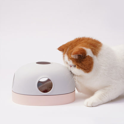 Puzzle 3 Combination Cat Toy
