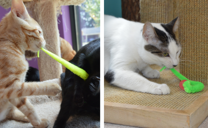 Wiggly Balls Cat Bell Toys