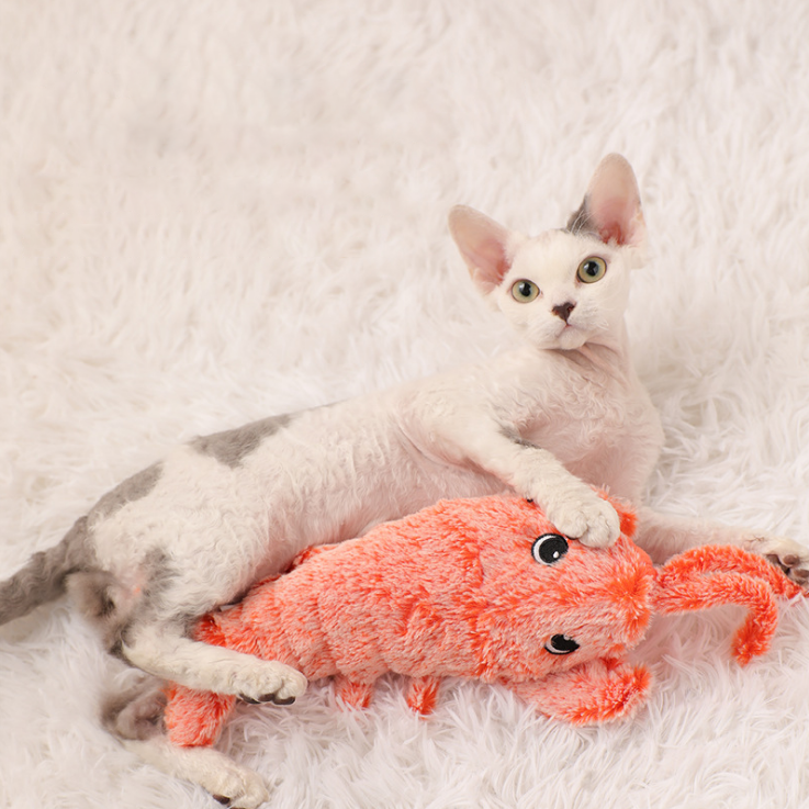 Springender Hummer aus Plüsch, interaktives Katzenspielzeug mit USB-Aufladung und Katzenminze 