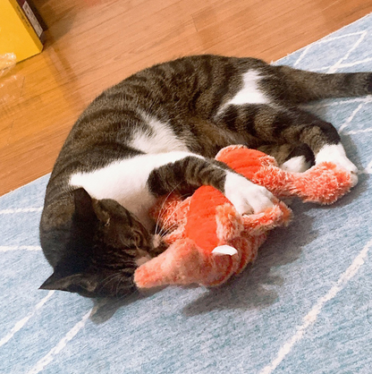 Springender Hummer aus Plüsch, interaktives Katzenspielzeug mit USB-Aufladung und Katzenminze 