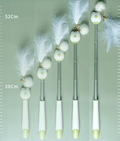 Multifunctional Retractable Laser Feather Cat Toy Wand